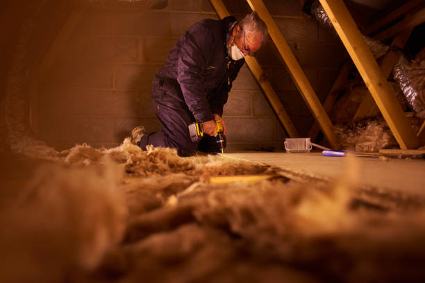 Best Geographic-Specific Insulation Services in Navajo, NM